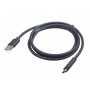 KABELL GEMBIRD USB 2.0 AM to Type-C cable 1 m