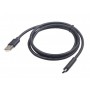 Gembird USB 2.0 AM ne Type-C Cable 1.8 m