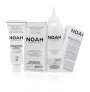 Bojë flokësh Noah natyrale black 1.0, me vaj lini dhe proteina orizi - Herbal Line