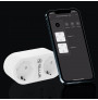 Prize Smart Tellur WiFi Socket, 2 Ports, 3680W, 16A