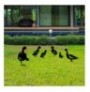 Decorative Garden Metal Accessory Set Aberto Design Ducks Black