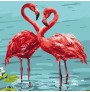 Ngjyros sipas numrave Flamingo 30x30