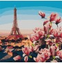 Ngjyros sipas numrave Paris Magnolias 50x50